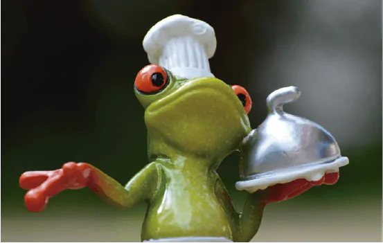 sapo alimento
