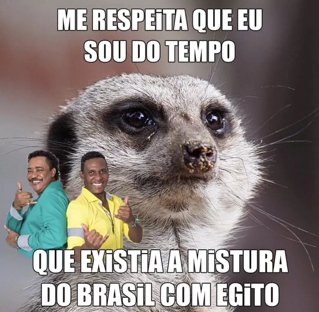 Post meme do Suricate Seboso satiriza uma música da banda É O Tchan